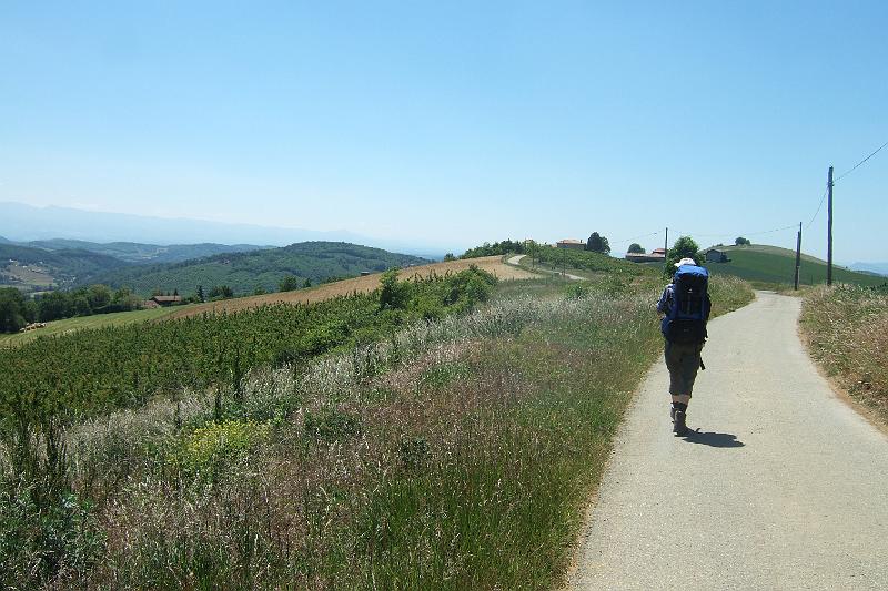 2011-05- (973).JPG - Wir laufen jetzt gut 1 km von Nord nach Süd über einen Bergrücken von etwa 450 m Höhe